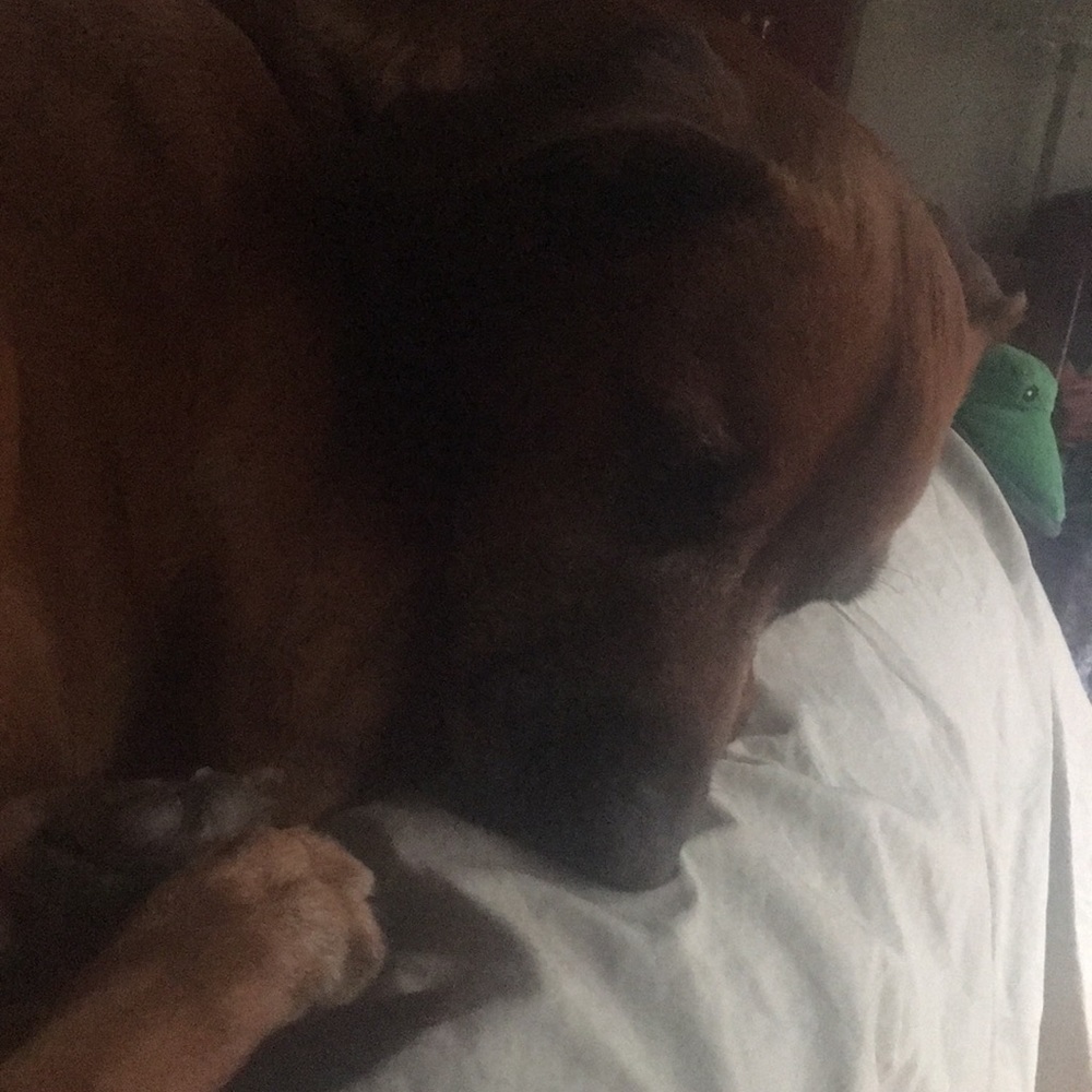 Meet your Posher, Brenda